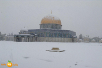 موجة برد تضرب البلاد - منخفض جوي جديد الأربعاء 